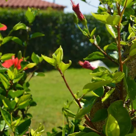 Lejlighed Beach Bungalows Kypseli